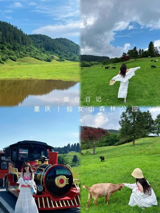 导游推荐最实惠的游玩价格分享诚心分享麻将胡了2游戏入口重庆本地旅行团报名(图6)